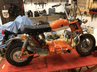 Auranthetic 1.gif